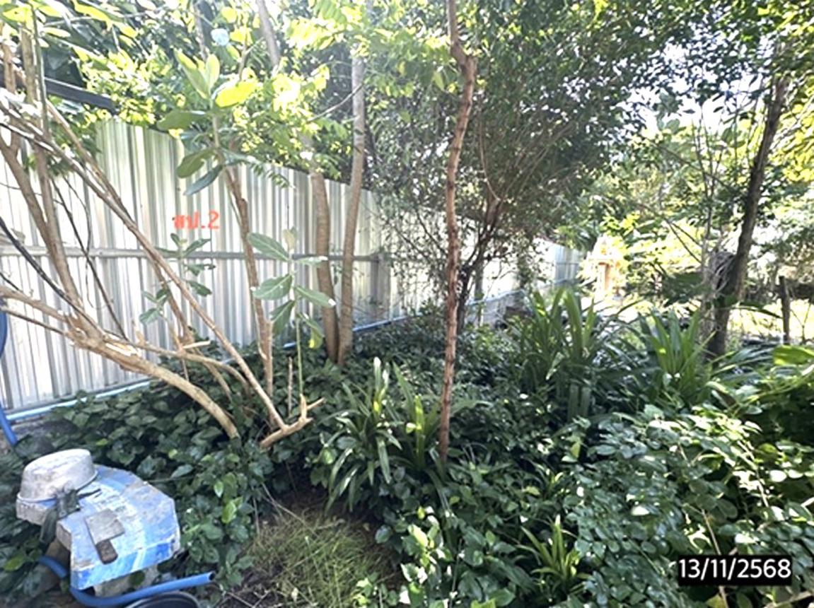 picture HOME for sale Klang Selaphum Roi Et - 11/18