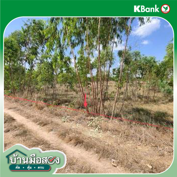 รูป ที่ดินว่างเปล่า 1781 ตร.วา สุวรรณภูมิ ร้อยเอ็ด 357,000 - รูปที่ 18/20