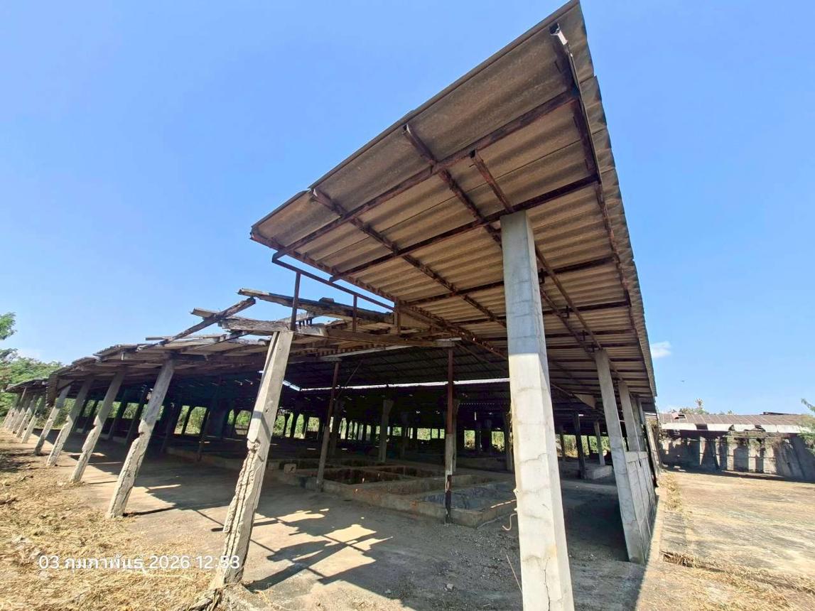 picture FACTORY 3707 Sq.w. Mae Sa-ruai Chiang Rai for 15.9M - 26/30