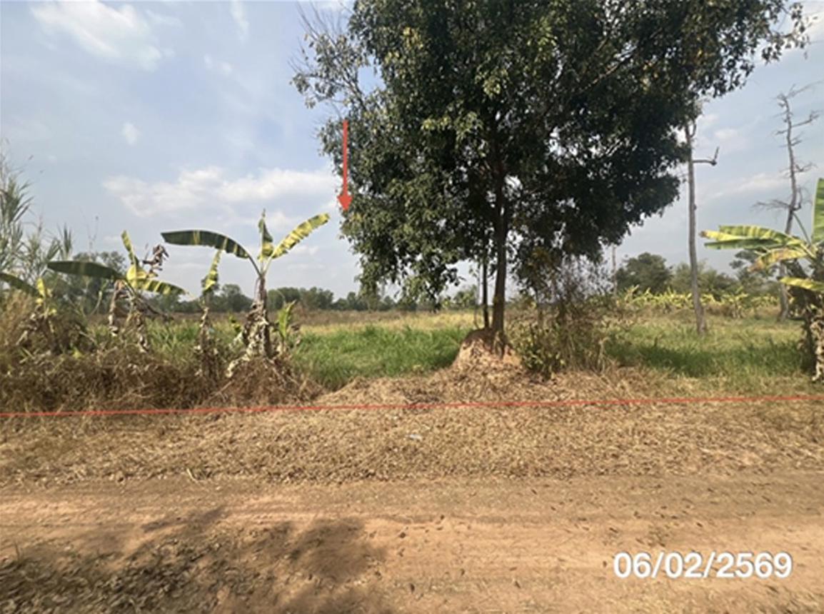 picture LAND 11763 Sq.w. Nam Yun Ubon Ratchathani for 5.9M - 10/22