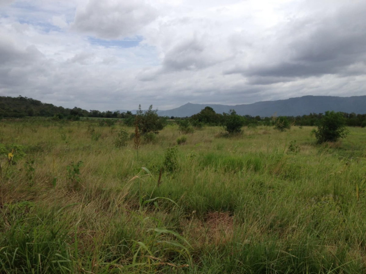 รูป ขายที่ดินเขาใหญ่ เนื้อที่ 15-3-77ไร่ ติดถนน 2 ด้าน ติดโครงการ Mövenpick Resort Khao Yai - รูปที่ 2/8