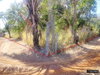 listing thumbnail image 27