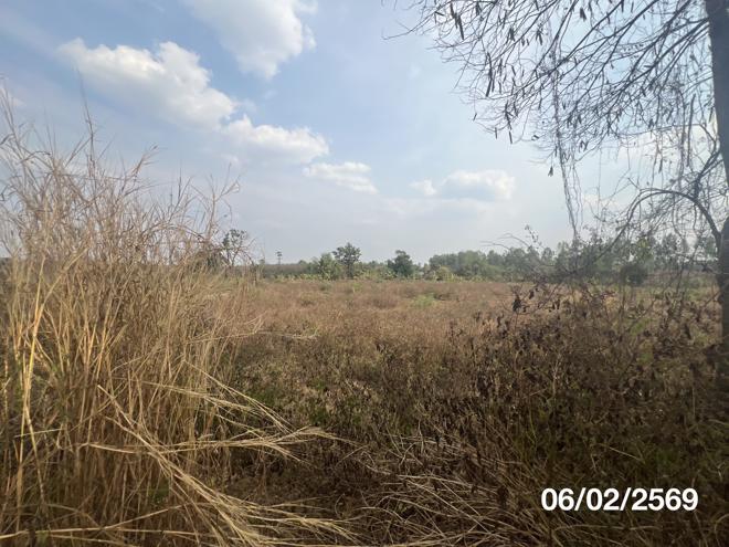 picture LAND 11763 Sq.w. Nam Yun Ubon Ratchathani for 5.9M - 9/22