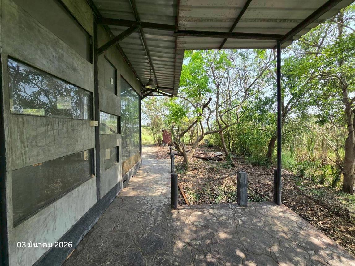 รูป บ้านเดี่ยว 100 ตร.วา เมืองพิษณุโลก พิษณุโลก 830,000 - รูปที่ 15/26