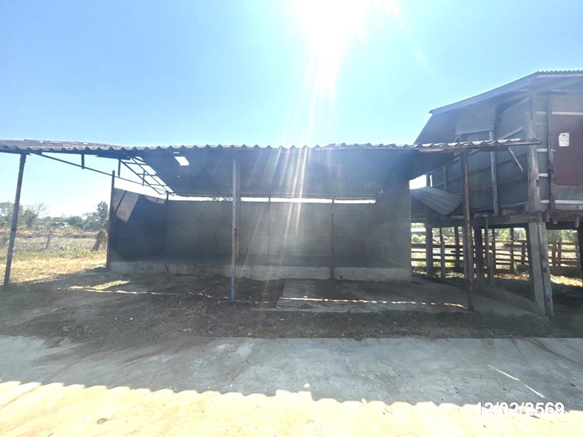 รูป โกดัง สำหรับขาย - ศรีสุข เขื่องใน อุบลราชธานี - รูปที่ 35/46