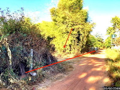 Land for sale : LAND for sale  Rai Phanna Nikhom Sakon Nakhon