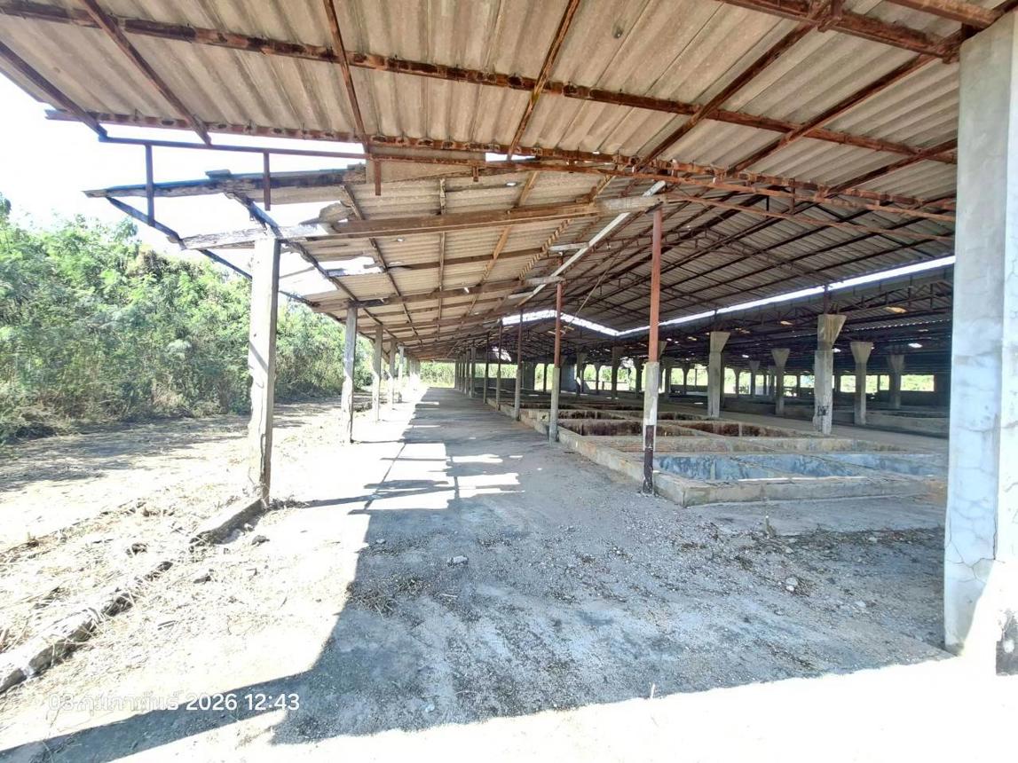picture FACTORY 3707 Sq.w. Mae Sa-ruai Chiang Rai for 15.9M - 18/30