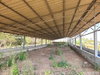 listing thumbnail image 31