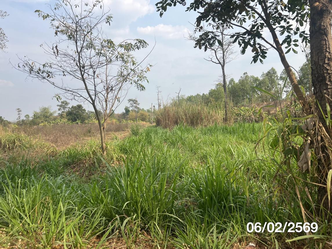 picture LAND 11763 Sq.w. Nam Yun Ubon Ratchathani for 5.9M - 14/22