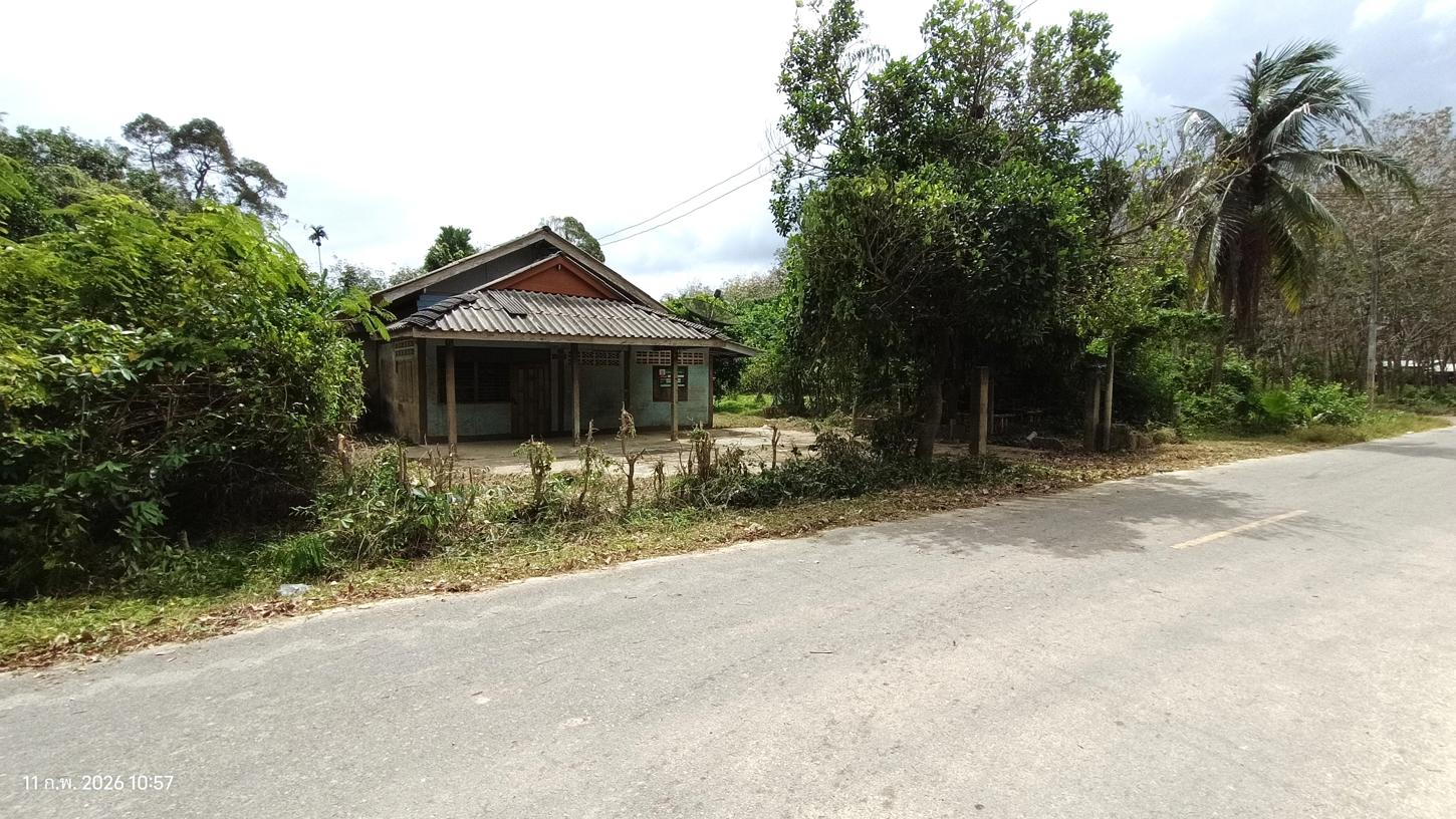 รูป บ้านเดี่ยว 6467.9 ตร.วา เทพา สงขลา 6.3M - รูปที่ 16/32