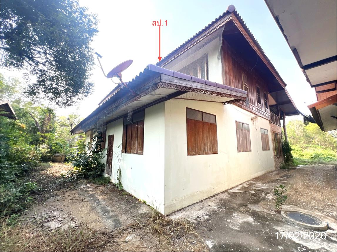 รูป บ้านเดี่ยว สำหรับขาย - หนองบัว วัดสิงห์ ชัยนาท - รูปที่ 25/50
