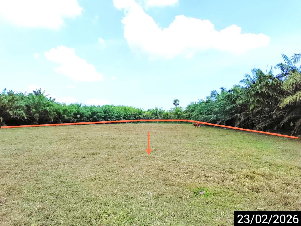 picture LAND for sale Pa We Chaiya Surat Thani - 13/18