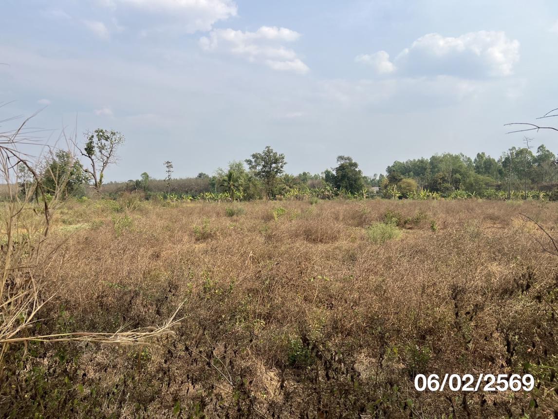 picture LAND 11763 Sq.w. Nam Yun Ubon Ratchathani for 5.9M - 17/22