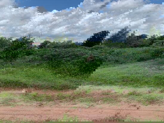 รูป ขายที่ดิน อ. หนองสองห้อง จ.ขอนแก่น ( 28-1-33) - รูปที่ 3/4