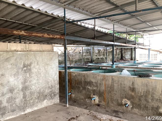 รูป บ้านเดี่ยว 1130 ตร.วา เขาย้อย เพชรบุรี 4.6M - รูปที่ 19/48