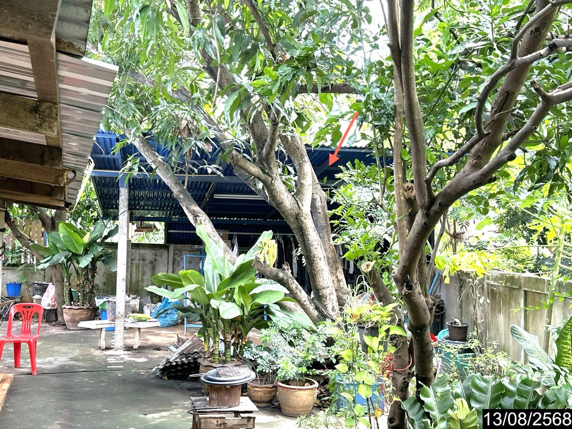 picture HOME 176 Sq.w. Loeng Nok Tha Yasothon for 2.2M - 16/24