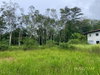 listing thumbnail image 16