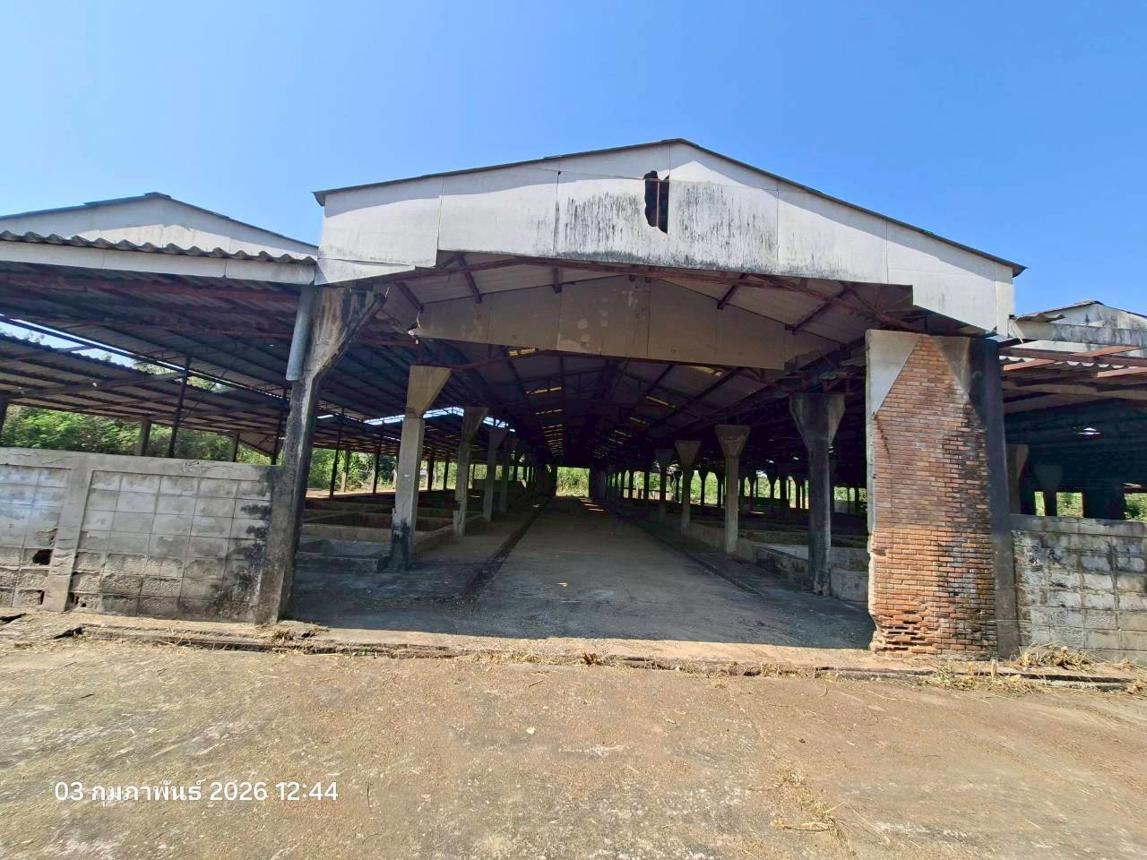 picture FACTORY 3707 Sq.w. Mae Sa-ruai Chiang Rai for 15.9M - 16/30