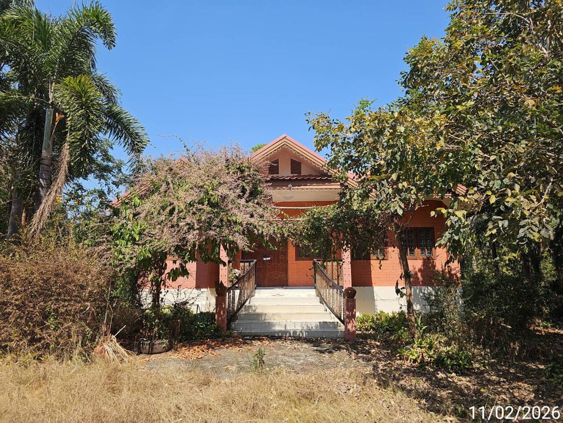 รูป บ้านเดี่ยว 1610 ตร.วา เมืองเพชรบูรณ์ เพชรบูรณ์ 8.7M - รูปที่ 14/30