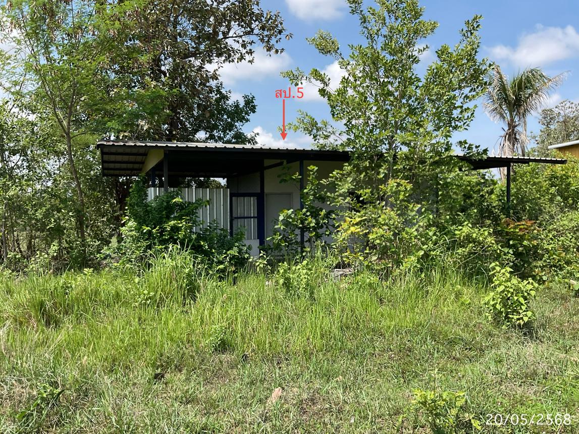 picture FACTORY 4800 Sq.w. Phibun Mangsahan Ubon Ratchathani for 6.4M - 17/30