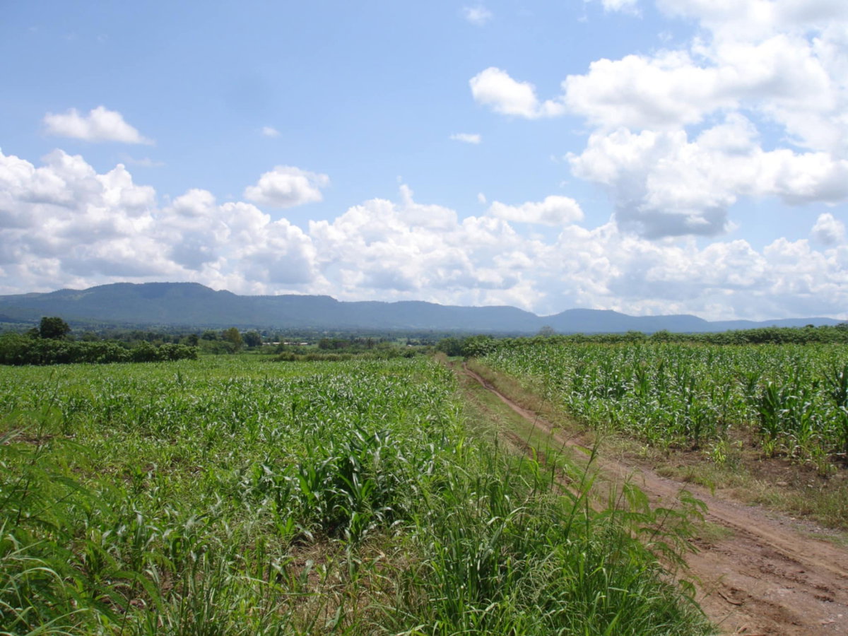 รูป ขายที่ดินเขาใหญ่ เนื้อที่ 15-3-77ไร่ ติดถนน 2 ด้าน ติดโครงการ Mövenpick Resort Khao Yai - รูปที่ 3/8