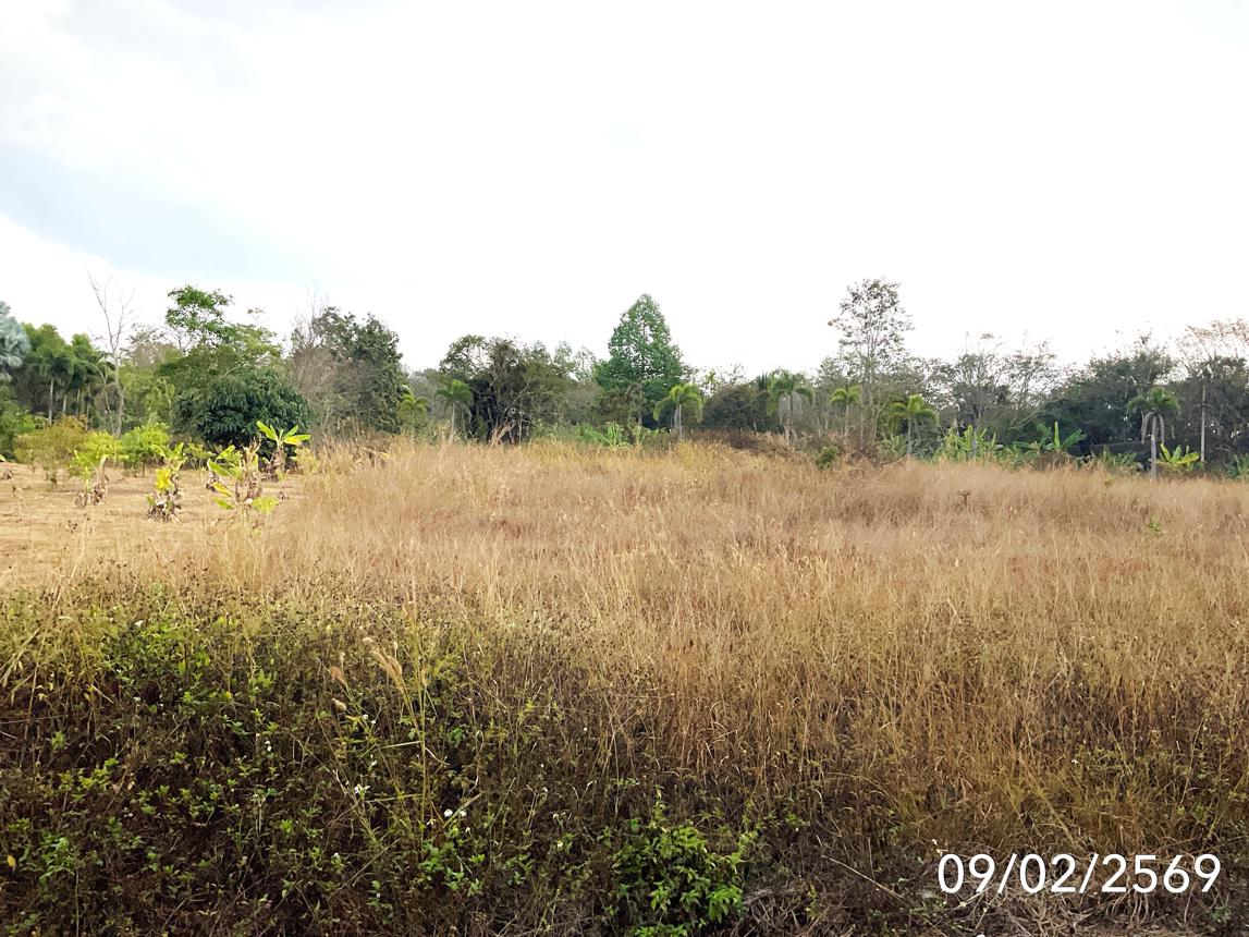 picture LAND 351 Sq.w. Wiang Chai Chiang Rai for 3.3M - 10/14