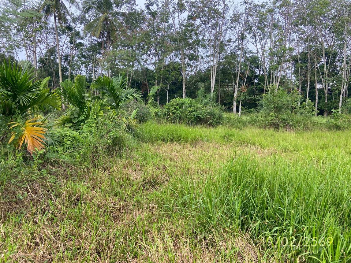 picture LAND 76.7 Sq.w. Rattaphum Songkhla for 537,000 - 16/24