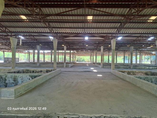 picture FACTORY 3707 Sq.w. Mae Sa-ruai Chiang Rai for 15.9M - 11/30