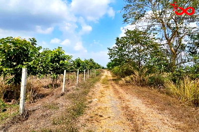 ที่ดิน องครักษ์ นครนายก : ขายที่ดิน 367 ตร.วา คลอง 23 องครักษ์ นครนายก