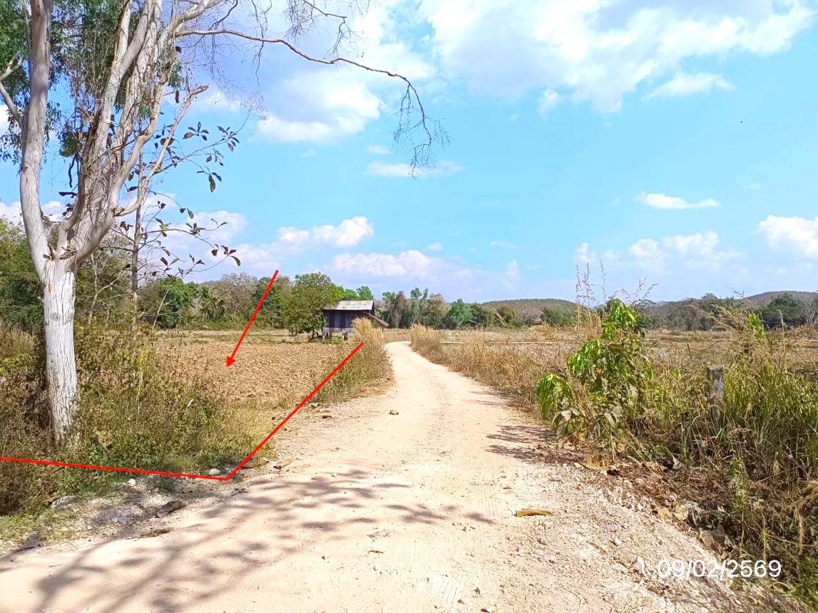 picture LAND 4220 Sq.w. Phu Kam Yao Phayao for 1.9M - 9/18