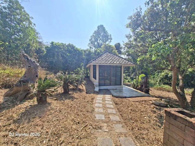 รูป บ้านเดี่ยว 1780 ตร.วา แม่แตง เชียงใหม่ 3.9M - รูปที่ 2/56