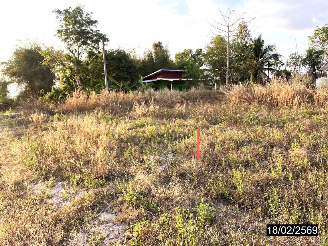 รูป ที่ดินว่างเปล่า สำหรับขาย - หนองกุงศรี หนองกุงศรี กาฬสินธุ์ - รูปที่ 13/18