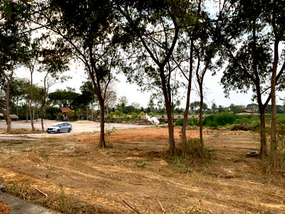 เช่าที่ดิน ม.มหาจุฬาลงกรณราชวิทยาลัย วิทยาเขตบาฬีศึกษาพุทธโฆส นครปฐม  : ที่ดินให้เช่าทำสวนเกษตร  มหาสวัสดิ์ นครปฐม