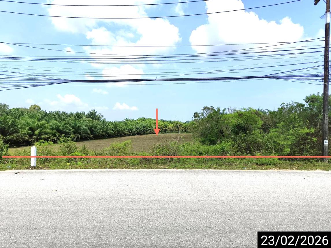 picture LAND for sale Pa We Chaiya Surat Thani - 8/18