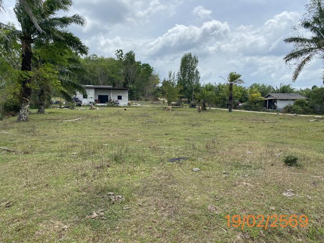 รูป ที่ดินว่างเปล่า 1047 ตร.วา เหนือคลอง กระบี่ 4.6M - รูปที่ 7/24