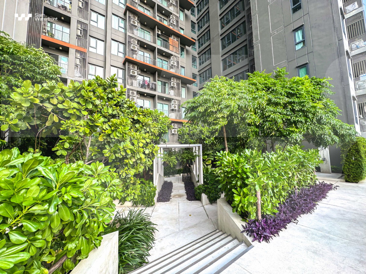 รูป 🔥ให้เช่า เครื่องใช้ไฟฟ้าใหม่ ตกแต่งสวย🔥C Ekkamai (ซี เอกมัย) 1ห้องนอน 30sqm Fully Furnished ทำเลดี ใกล้ทองหล่อ/BTSเอกมัย - รูปที่ 22/28