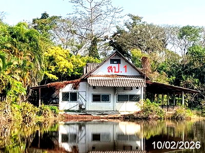 ขายบ้านเดี่ยว : บ้านเดี่ยว สำหรับขาย - สะลวง แม่ริม เชียงใหม่