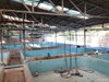 listing thumbnail image 37