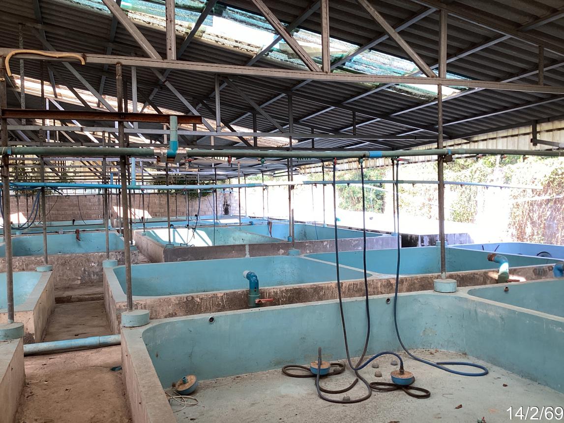 รูป บ้านเดี่ยว 1130 ตร.วา เขาย้อย เพชรบุรี 4.6M - รูปที่ 38/48
