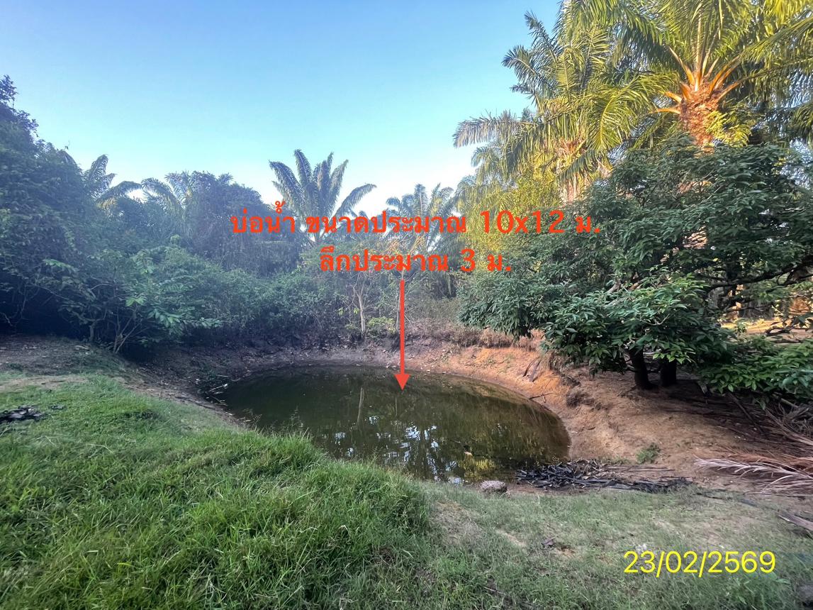 picture LAND 1887 Sq.w. Hat Samran Trang for 5.2M - 32/36