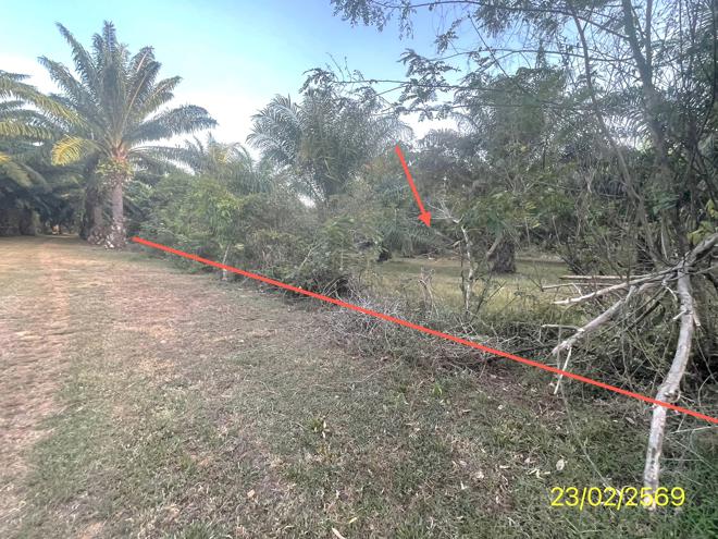 picture LAND 1887 Sq.w. Hat Samran Trang for 5.2M - 5/36