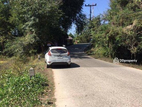 ขายที่ดิน อ.ปาย จ.แม่ฮ่องสอน เนื้อที่ 4-3-91 ไร่