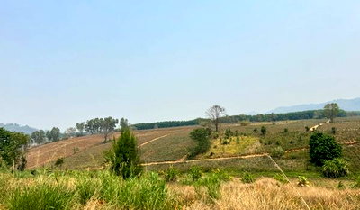 Land for sale Wieng Chiang Rung Chiang Rai : Land for sale, 100 rai, Wiang Chiang Rung District, Chiang Rai Provinc