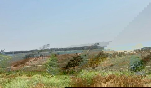 ขายที่ดิน 100 ไร่ อ.เวียงเชียงรุ้ง จ.เชียงราย