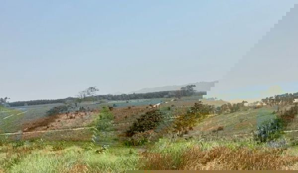 รูป ขายที่ดิน 100  ไร่  อ.เวียงเชียงรุ้ง จ.เชียงราย - รูปที่ 1/4