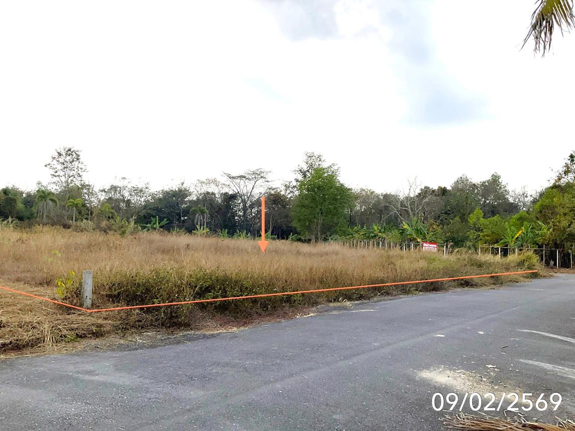 picture LAND 351 Sq.w. Wiang Chai Chiang Rai for 3.3M - 8/14
