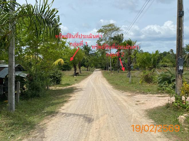 รูป ที่ดินว่างเปล่า 1047 ตร.วา เหนือคลอง กระบี่ 4.6M - รูปที่ 10/24
