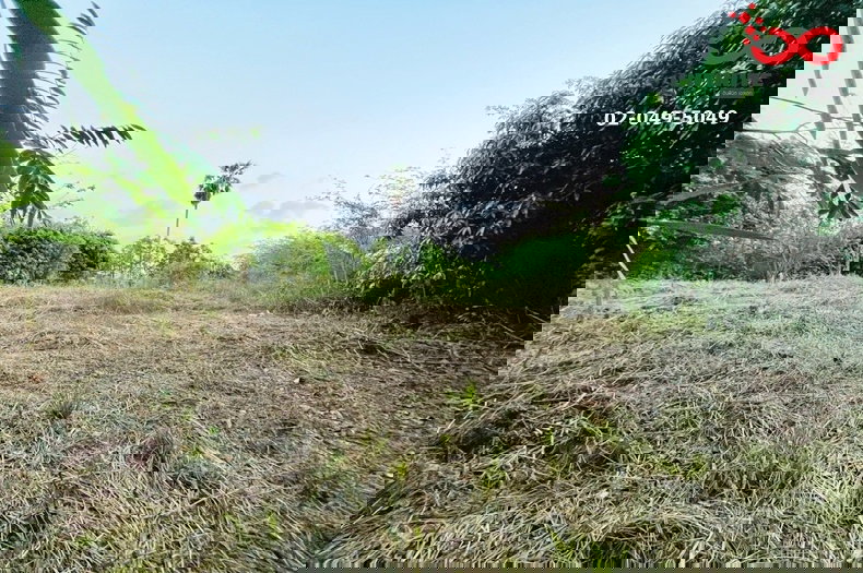 รูป ขายที่ดินเปล่า 2ไร่ 390 ตรว. ถมแล้ว 20 %  อำเภอพนัสนิคม ชลบุรี - รูปที่ 5/7