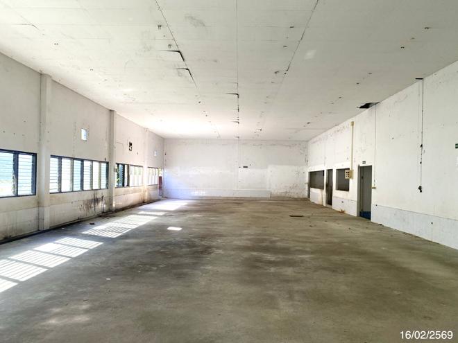 รูป อาคารโรงงาน สำหรับขาย - เกาะนางคำ ปากพะยูน พัทลุง - รูปที่ 8/44