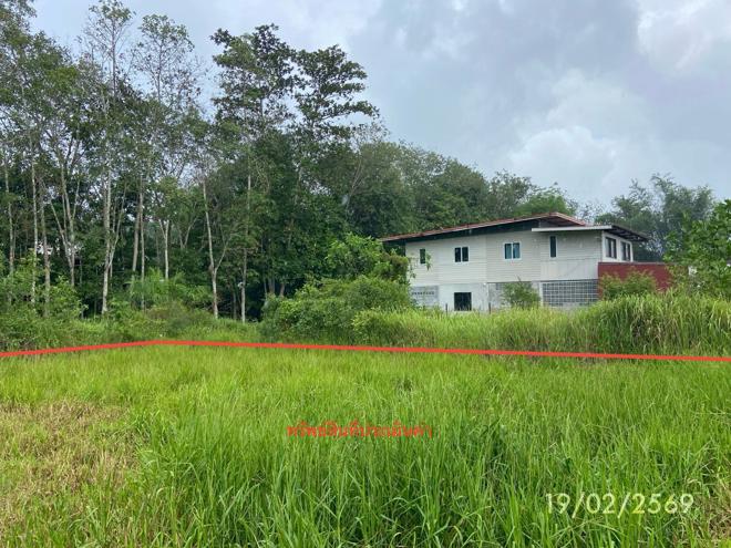 picture LAND 76.7 Sq.w. Rattaphum Songkhla for 537,000 - 4/24